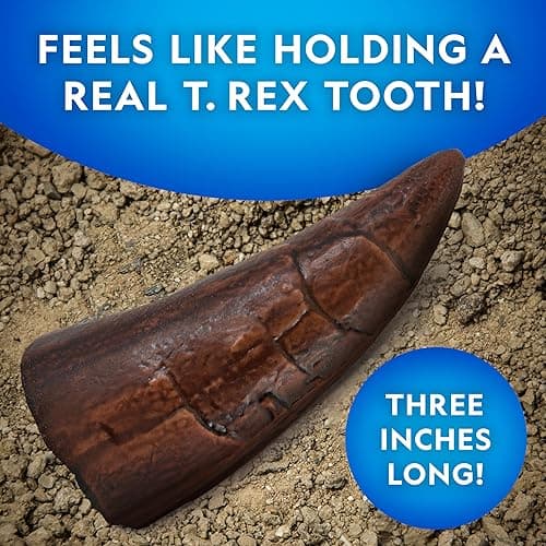 NATIONAL GEOGRAPHIC Dino Fossil Dig Kit & Dinosaur Book for Kids- Excavate a Replica Dinosaur Tooth Fossil and Study Paleontology with a Full-Color Dinosaur Activity Book for Kids (Amazon Exclusive) thumbnail 5
