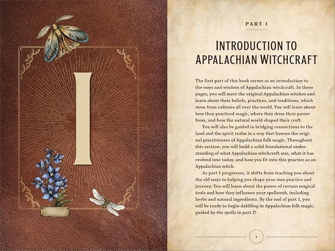 Appalachian Witchcraft for Beginners: The History, Remedies, and Spells of a Rich Folk Magic Tradition thumbnail 7