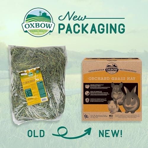 Oxbow Animal Health Orchard Grass, Guinea Pig Hay, Rabbit Hay, Small Pet Bunny Supplies, All Natural Grass for Guinea Pig, Bunny, Chinchilla & Hamster, Oxbow Rabbit Supplies for Bunnies, 9 lb. box thumbnail 3