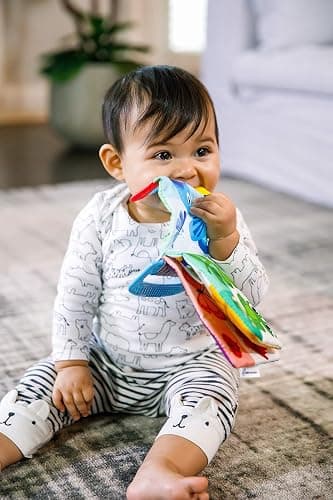 Baby Einstein Curious Explorers Teether Book Take-Along Toy, Ages Newborn +, Multicolored thumbnail 6
