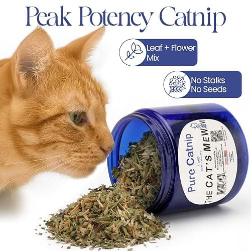 The Cat's MeWow 100% Pure Catnip – North American Grown – Strong Aroma for Play & Enrichment – Resealable Freshness Jar – Veteran-Owned Brand thumbnail 2