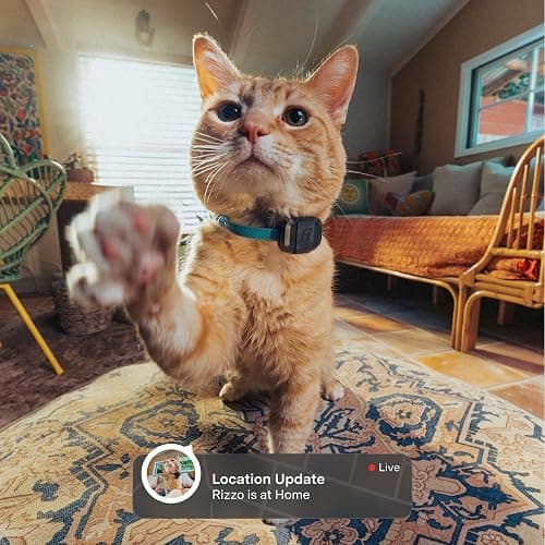 Fi Mini GPS Tracker for Cats — Lightweight Collar Attachment, Virtual Fences, Escape Alerts, Step & Health Tracking, Waterproof Cat Tracker — 6-Month Membership Included thumbnail 2