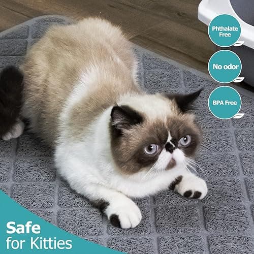 Conlun Cat Litter Mat Litter Trapping Mat, 24" x 17" Premium Durable PVC Grid Mesh with Scatter Control, Non-slip, Less Waste Cat Litter Box Mat, Soft on Kitty’s Paws, Urine Waterproof thumbnail 7