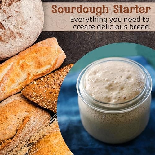 Living Dough - 55 Year Old Amish Friendship Sourdough Starter Culture - Sweet and Organic Sourdough Starter for Baking - For Artisan Bread, Pizza Dough, Waffles & More thumbnail 2