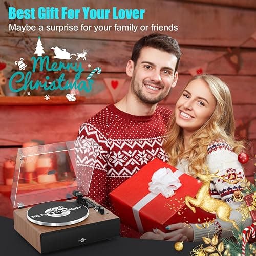 Vinyl Record Player with Speakers,High Fidelity Turntables for Vinyl Records with Magnetic Cartridge AT-3600L,Bluetooth Playback Built-in Phono Preamp,Belt Drive 2-Speed (HP-H2410) thumbnail 7