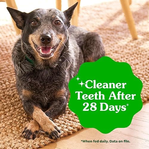 Greenies Regular Dental Dog Treats, Original Chicken Flavor, 36 Count | Vet-recommended, cleaner teeth after 28 days, cleans to gumline, for dogs 25-50 lbs, original chicken flavor thumbnail 4