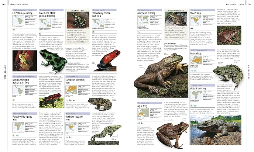 Animal: The Definitive Visual Guide (DK Definitive Visual Encyclopedias) thumbnail 8