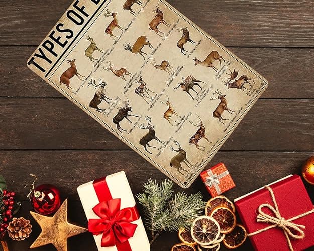 HYBLOM Rustic Types Of Deer Metal Sign, Vintage Farmhouse Wall Art Tin Sign - Hunting Decor & Educational Poster for Home, Man Cave, and Bar 8x12 Inches thumbnail 2
