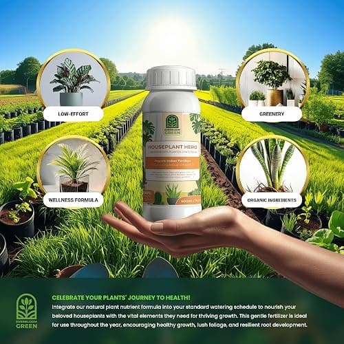 Houseplant Hero - Indoor Organic Liquid Fertilizer - Natural Indoor Plant Food (500ml / 16.9oz) thumbnail 6