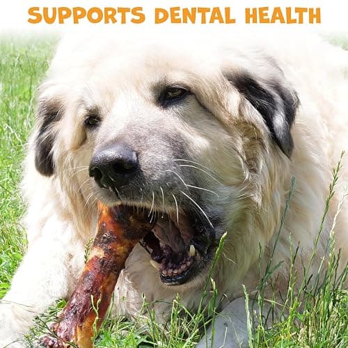 Pack Approved Beef Shin Bones for Dogs - Liver Coated Long Lasting Dog Chews for Aggressive Chewers - Rawhide-Free Big Bones for Large Dogs - Healthy Large Dog Bone (1 Pack) thumbnail 5