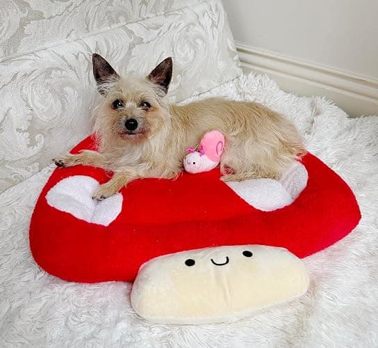 TONBO Soft Plush Small Cute and Cozy Nature Dog Cat Bed, Washer and Dryer Friendly (Mushroom) thumbnail 2