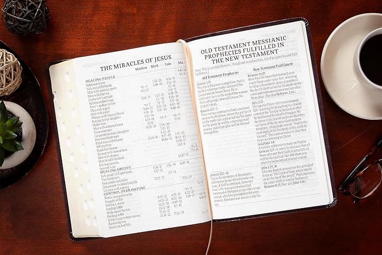KJV Holy Bible: Blush (Light Pink), Giant Print (14 pt) – Thumb Indexed, Faux Leather, King James Version thumbnail 6