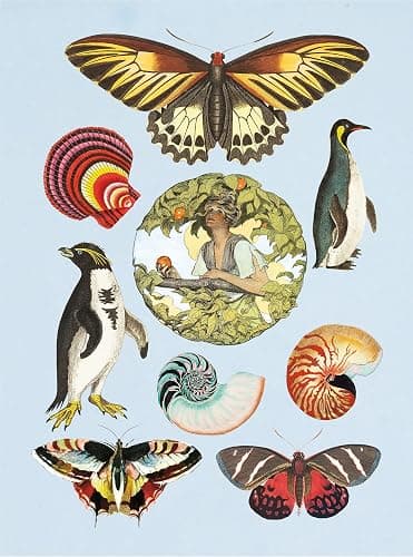 The Antiquarian Sticker Book: Over 1,000 Exquisite Victorian Stickers thumbnail 8