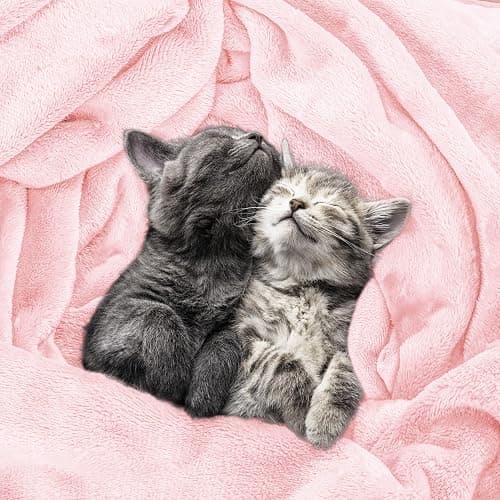 Utopia Bedding Fleece Blanket Twin Size Pink 300GSM Luxury Anti-Static Fuzzy Soft Microfiber Dorm Bed Blanket for Girls (60x80 Inch) thumbnail 4