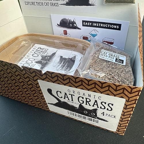 Cat Grass Grow Kit — 4-Batch Indoor Growing Set with Containers, Soil Disks & Seeds | Supports Digestion & Hairball Control | Ready to Grow, No Mess thumbnail 7
