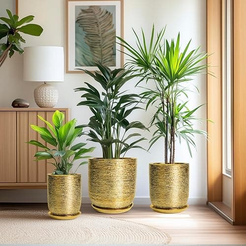 SUNPOTFOR Ceramic Flower Pot for Indoor Plants - 10 Inch Plant Pot with Drainage Hole and Saucer, Decorative Round Outdoor Indoor Planter, Housewarming Gifts, Home Garden Decor, Gold thumbnail 7