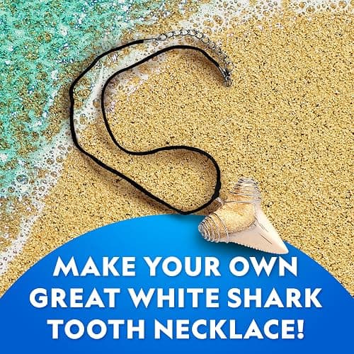 National Geographic Shark Tooth Dig Kit – Excavate Replica Teeth Fossils from Ancient Sharks and Make a Shark-Tooth Necklace, STEM Science Kit for Kids Ages 6-8, Educational Fossil Dig Activity thumbnail 3