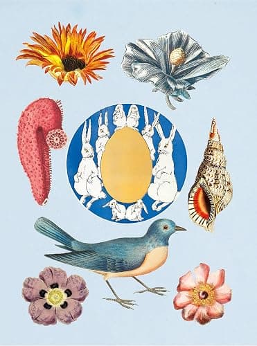 The Antiquarian Sticker Book: Over 1,000 Exquisite Victorian Stickers thumbnail 7