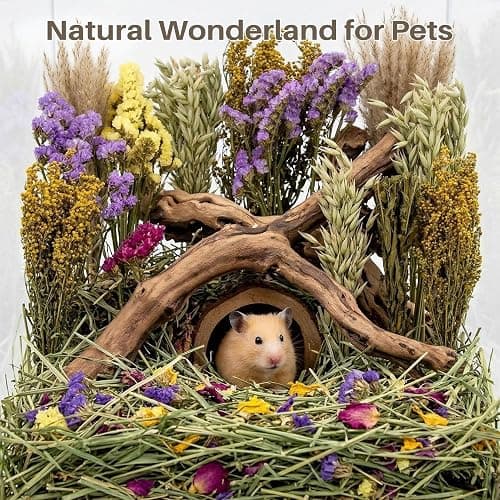 Sukh 42Pcs Herb Bedding Habitat Decor - Natural Flower Hamster Mate Herbs Sprays Cage Safe Pet Accessories Decorations Hideout for Hamsters Mouse Guinea Pig Dwarf Gerbils Syrian Mice thumbnail 4