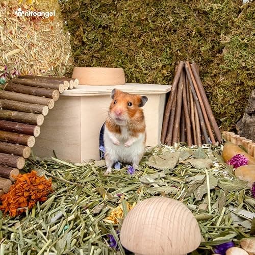 Niteangel Birch Chamber-Maze Hamster Hideout - Small Pets Woodland House Habitats Decor for Hamster Mice Gerbils Mouse thumbnail 3