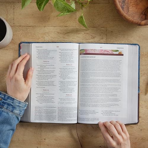 NIV, The Woman's Study Bible, Hardcover, Full-Color, Red Letter: Receiving God's Truth for Balance, Hope, and Transformation thumbnail 6