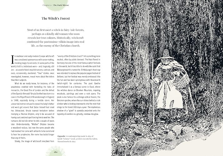 Witch's Forest: Trees in magic, folklore and traditional remedies (Royal Botanic Gardens, Kew) thumbnail 7