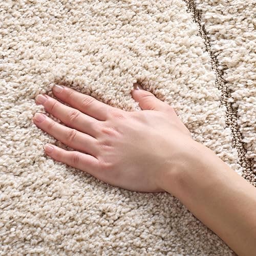 SAFAVIEH Area Rug 8x10 - Florida Shag Collection - Large - Cream & Beige, Non-Shedding & Easy Cleaning, Plush Thick Pile, Ideal for Living Room, Bedroom, Dining Space (SG472-1113) thumbnail 11