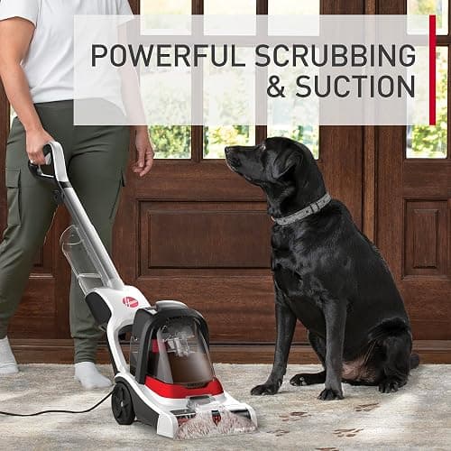 Hoover PowerDash Pet+ Compact Carpet Cleaner Machine, Lightweight Carpet Shampooer Machine, Pair with a Hoover Carpet Cleaner Solution for a Bright, Refreshed Home thumbnail 3
