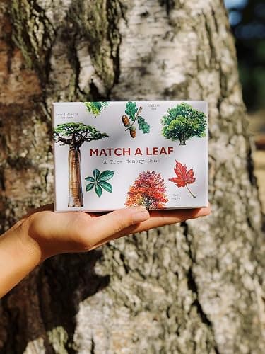 Match a Leaf: A Tree Memory Game thumbnail 4