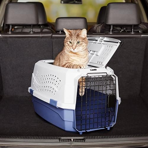 Amazon Basics Two-Door Top-Load Hard-Sided Pet Travel Carrier, 58.4 cm thumbnail 10