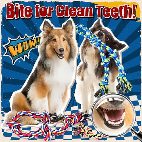 Forfon Tough & Strong Dog Toy for Aggressive Chewers – Tough Chew Toys for Large Dogs, Ideal for Tug-of-War & Teeth Cleaning, with 3 Rope Toys & 2 Dog Bags thumbnail 5