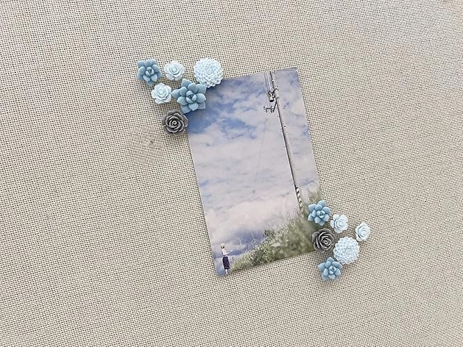 24 Pcs Decorative Pushpins,Cork Board Tacks,Bulletin Board Tacks,Thumb Tack Decorative for CorkBoard, Office Organization or Home thumbnail 4