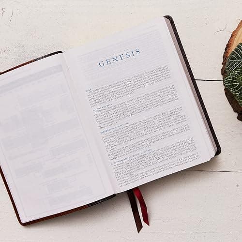 ESV, MacArthur Study Bible, 2nd Edition, Premium Goatskin Leather, Brown, Premier Collection: Unleashing God's Truth One Verse at a Time thumbnail 3