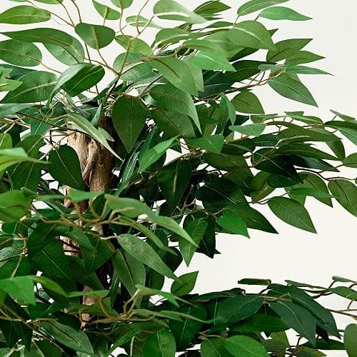 VECELO Ficus Tree Artificial 6 Feet, Tall Faux Tree in Pot, Fake Floor Plant with Realistic Tree Branch & Silk Leaves for Home Office Indoor Decor thumbnail 4
