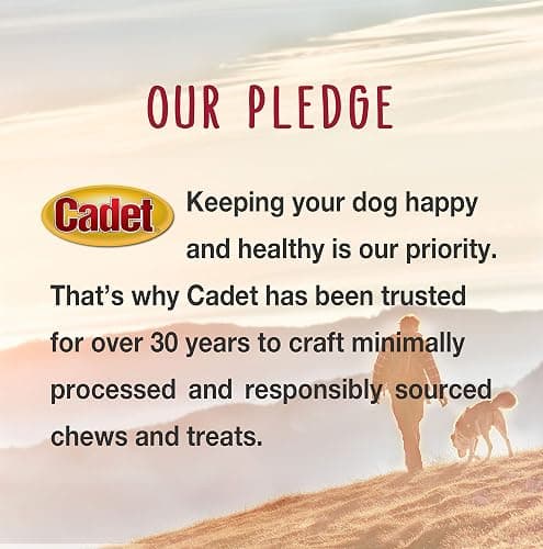 Cadet Stuffed Shin Bone, Long-Lasting Dog Chew Bones for Aggressive Chewers, High Protein Filled Bone Dental Chew for Dogs, Bacon & Cheese Flavor Filling, 5-6" for Large Dogs thumbnail 9