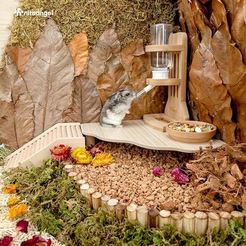 Niteangel Hamster Play Wooden Platform for Dwarf Syrian Hamsters Gerbils Mice Degus or Other Small Pets (Triangle - 5.9'' Height, Burlywood) thumbnail 6