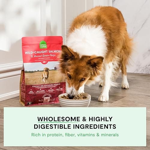 Dog food thumbnail 3