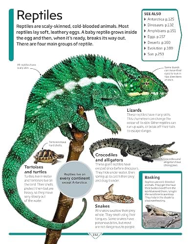 DK Children's Encyclopedia: The Book That Explains Everything (DK Children's Visual Encyclopedia) thumbnail 8