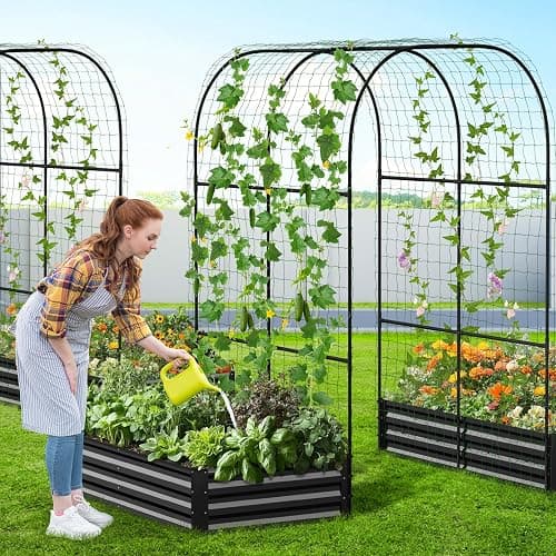 DoCred Galvanized Raised Garden Bed with 87" H Arch Trellis for Climbing Plants, Raised Outdoor Planter Garden Box with Climbing Netting for Gardening, Climbing Vegetables, Flower, Black thumbnail 2