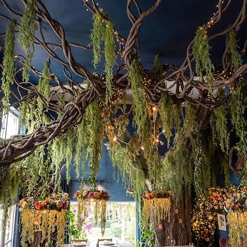 Bucherry Hanging Green Spanish Moss Classroom Fairy Party Ceiling Decor | Artificial Vines for Safari Tropical Whimsical Wall Decor, Enchanted Indoor Outdoor Garden DIY Hanging Greenery - Image 1