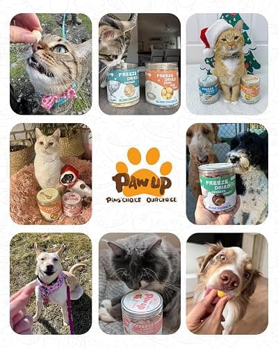 PAWUP Freeze Dried Cat & Dog Treats, Natural Quail Egg Yolk, Single Ingredient, High-Protein Pet Snacks for Skin & Coat Health, No Artificial Additives, 9.2 oz thumbnail 7