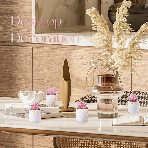 Der Rose Set of 4 Succulents Plants Artificial for Office Desk Accessories for Women Pink Home Decor thumbnail 2