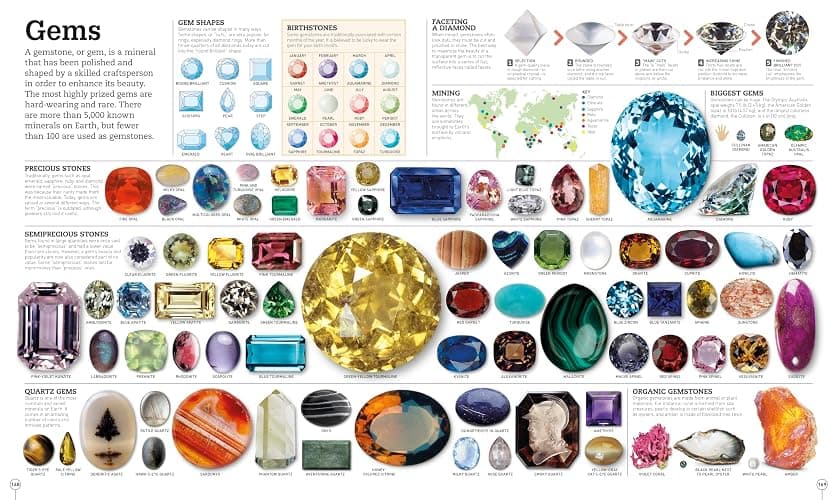 Picturepedia, Second Edition: An Encyclopedia on Every Page thumbnail 6