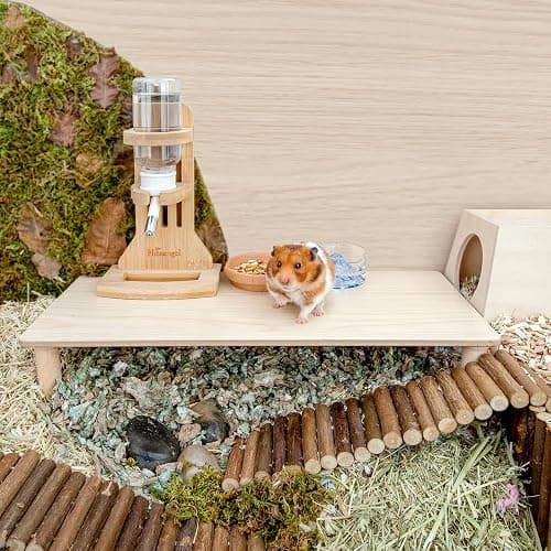 Niteangel Hamster Play Wooden Platform for Dwarf Syrian Hamsters Gerbils Mice Degus or Other Small Pets (Rectange - 7'' Height, Burlywood) thumbnail 4