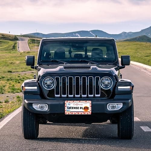 Strawberry License Plate Frame Stainless Steel Fruit Bow License Plate Holder for Front and Rear Car Tags Funny for Car Decoration Accessories with Screws 6.3 X 12.2 in for Women Men thumbnail 6