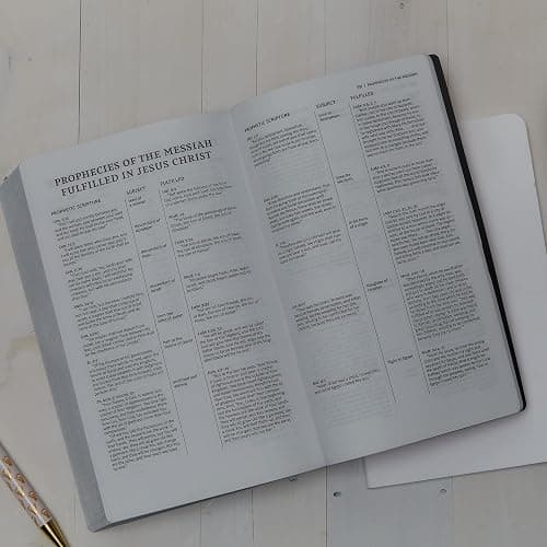 NKJV, Holy Bible, Soft Touch Edition, Leathersoft, Pink, Comfort Print: Holy Bible, New King James Version thumbnail 7
