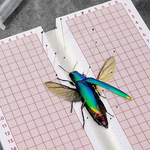 Butterfly Pinning Board Insect Pinning Board Butterfly Spreading Boards Foam Boards for Pinnings Insects Dual-Sided Bug Pin Trapping Boardes with Wings, EVA Foam thumbnail 4