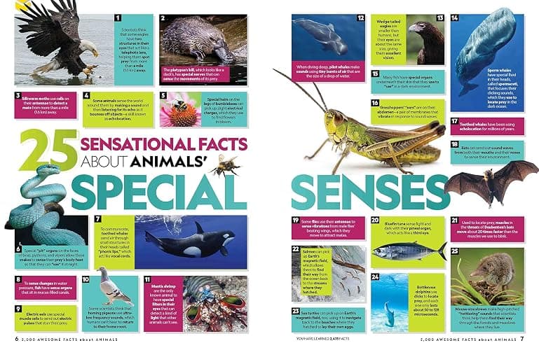 5,000 Awesome Facts About Animals thumbnail 4