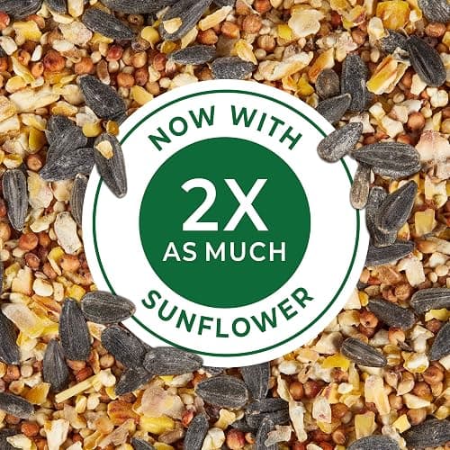 Kaytee Wild Bird Basic Seed, 10 lb - 10 Pound (Pack of 1) thumbnail 2