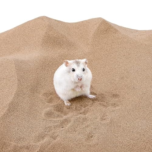 Niteangel Hamster Desert Bath Sand | No-Dust Bath or Potty Litter for Hamster Chinchillas Gerbil Mice Degu or Other Small Pets thumbnail 3